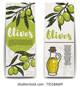 Set of olive oil flyers. Olive branch. Design elements for banner, flyer, poster. Vector illustration