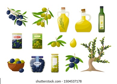 Set of olive oil in glass bottles, branches, tree, olive products. Objects in cartoon style isolated on white background.