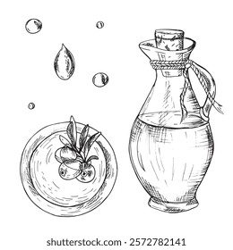 Set of Olive Oil glass Jug, oil drops, Olive fruits and Branches in oil Bowl from top view. Hand drawn botanical Line art, Vector illustration. For cards, menu, product and italian or greek or spanish