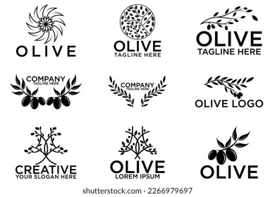 Conjunto de logotipo, etiqueta, placa o emblema escrito a mano con aceite de oliva. Aislado sobre fondo blanco. Ilustración del vector