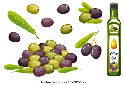 Set olive oil, harvest and leaf. Isolated vector illustration on white background.