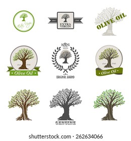 Set of olive oil label. Flat and vintage design.