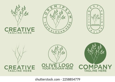 set of olive oil logo for modern female beauty