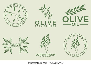 set of olive oil logo for modern female beauty