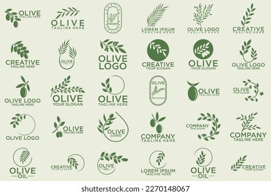 logo del conjunto de aceite de oliva para la belleza femenina moderna