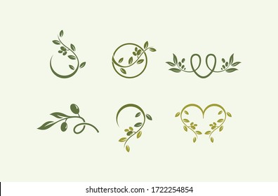 set olive oil logo vector template