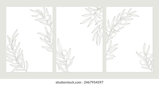 Set of olive posters with olive branches on white backgrounds in minimal linear style. Vector leaves and olive fruits. Greenery plants and simple frames