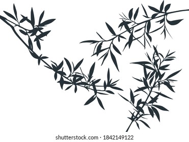 Set of Olive Tree Branches Shapes.  Vector Silhouette of Bamboo Rainforest 
