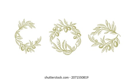 Set olive wreath in circle. Vector texture branch of tree, green leaves, fresh fruit isolated on white background. Vintage graphic collection of symbols. Art greek ornament, elegant border