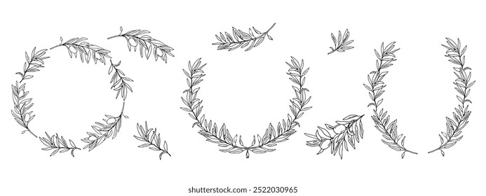 Conjunto de coronas y ramas de olivo. Vector de tinta dibujado a mano aislado Ilustración botánica. Se puede utilizar para tarjetas, emblemas, logotipos y diseño de alimentos.