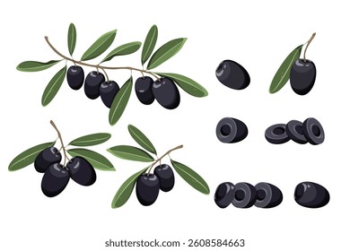 Set of olives. Branches of black olives with leaves, whole olives, cut in half, slices. Vector illustration on a white background.
