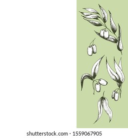 Set of olives with branches, collection of sketch elements. Monochrome drawing by hand on an olive background. Suitable for background design, food packaging, cosmetic products, decoupage. 
