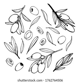 set of olives, branches and leaves on a white background, Italian cuisine.Handmade illustrations for packaging design of cosmetics,food