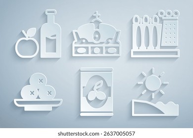 Set Olives in can, Dali museum, on plate, Beach, Crown of spain and Apple cider bottle icon. Vector