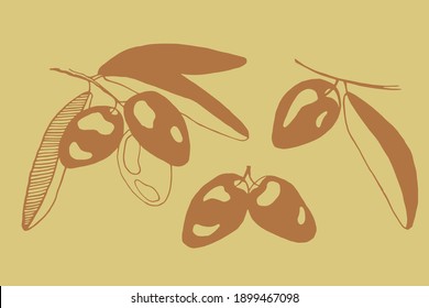 Set of olives, hand drawing - sand color doodle. Used for packing oil, cards, logo.
