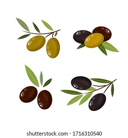 Conjunto de aceitunas. Ramas de oliva. Ilustración vectorial para diseño, patrones, coronas, tela, logo de aceite de oliva.