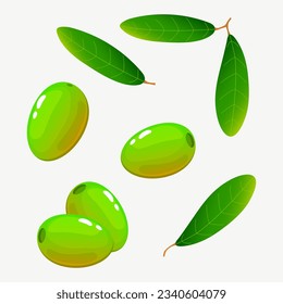 Set of olives and olive tree leaves on a white background, cartoon style, vector illustration