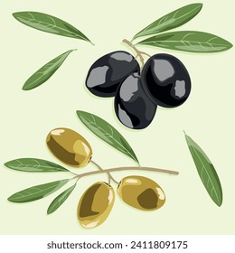 Set of olives on a branch with leaves in vector