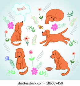 Set on the life merry spaniel. Elements for design. Hand drawing. 