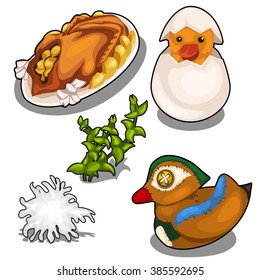 Set on the theme of agricultural birds. Duck stuffing are then used to apples. Vector illustration.