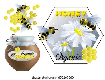 Set on theme of honey and beekeeping. Vector illustration.