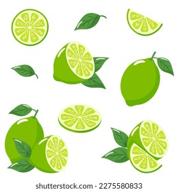 set on white background lime