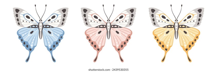 Conjunto de una mariposa en tres colores, ilustración vectorial. Hermosas alas con adorno abstracto, vista frontal. Elemento para el diseño del tatuaje. Fondo de verano