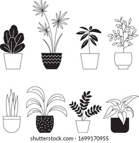 Set of one color line illustrations of different houseplants
