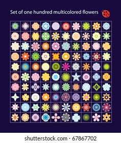 Set of one hundred multicolored  flowers vector