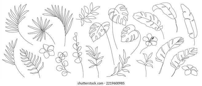 set of one line drawing modern minimalist tropical monstera eucalyptus banana exotic palm leaves branches and flowers silhouette isolated on white background Botanical vector trendy greenery 
 