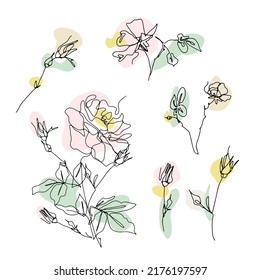 Set of one line drawing roses clip art. Hand drawn single line flower with neutral abstract shapes background