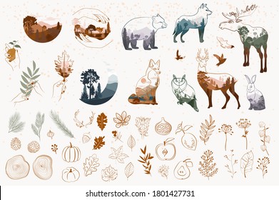 Set of one line style minimalistic autumn objects. Abstract Forest animals, tree, plants, leaf.  Editable vector illustration.