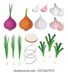 Set onion, garlic and green onion. Onions, red and white onions. Garlic, white and red garlic. Green onions, leeks. Vector illustration.