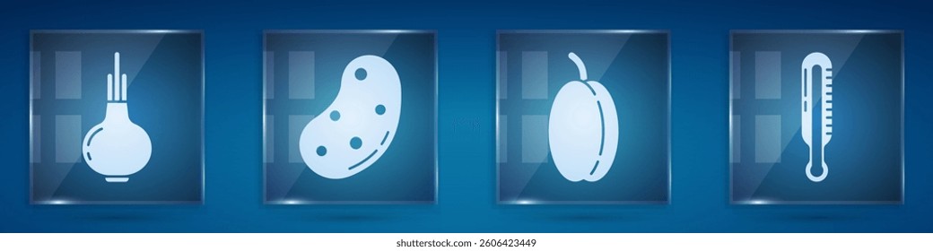Set Onion, Potato, Plum fruit and Meteorology thermometer. Square glass panels. Vector