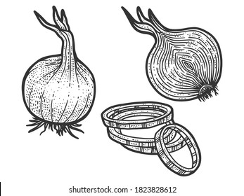 Set, onion in three types. Sketch scratch board imitation. Black and white.