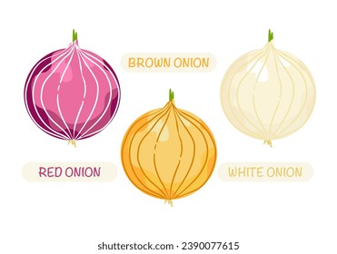 Conjunto de verduras vectoriales de cebolla Alimentos vegetarianos orgánicos, comida saludable. Icono de verduras. Aislamos ilustraciones vectoriales en un fondo blanco.