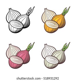 Set onion  Whole bulb   cross section  Red  yellow  white onion   outline version  Stylized vector illustration  isolated white 