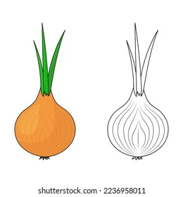 Set Onion. A whole onion with green feathers. Flat simple design. Isolated on a white background.