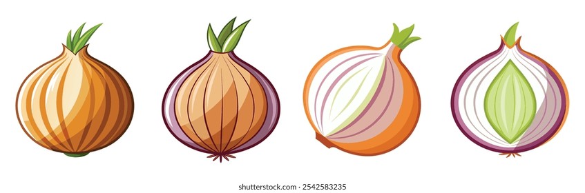 set of onions bulb vector illustration 