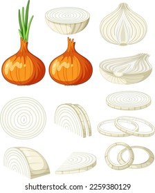 Set of onions in different forms illustration
