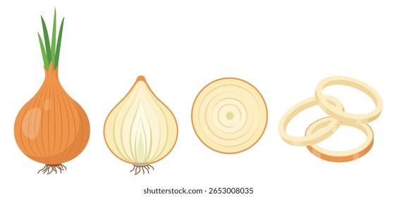 Conjunto de ícones de cebolas. Bolbo de cebola em casca, metade e anéis. Cabeça amarela de cebola com broto verde e pedaços. Cozinhe ingredientes, especiarias. Alimentos orgânicos. Ilustração vetorial isolada sobre fundo branco.