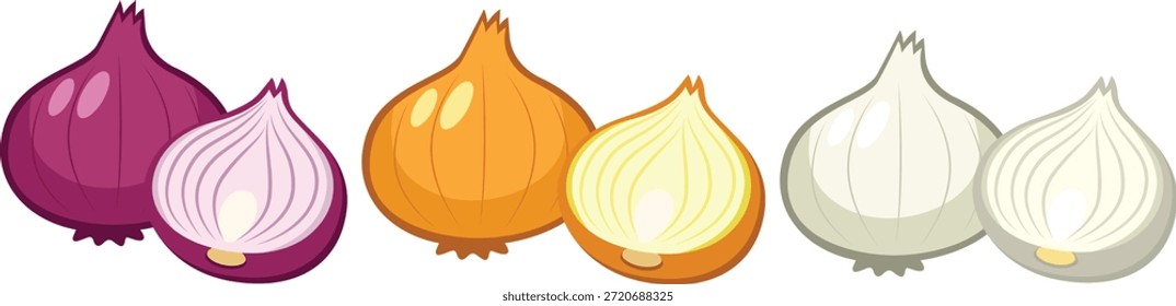 Conjunto de cebollas aisladas en blanco. Cebolla vegetal: cebolla roja, cebolla amarilla, cebolla blanca. Cocine los ingredientes, las especias. Alimentos orgánicos. Ilustración vectorial en estilo plano. 
