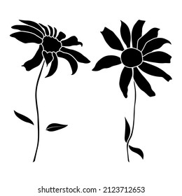 Set of open heliopsis blossom vector silhouette illustration isolated on white background. Vector sketch style top view hand drawing of wild, heliopsis, false sunflower.