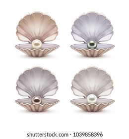 Set of open shell with beige, gray, brown and white pearls inside. Vector template of opened seashells isolated on background