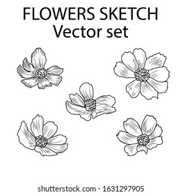 Set of opened flower buds. Five hand-drawn using sketch technique of black contour flowers in a realistic style. Vector illustration isolated on white.