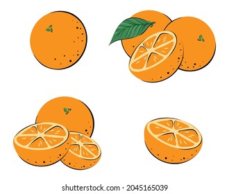 Set of oranfes, color vector illustration