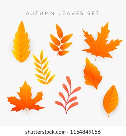 set of orange autumn leaves