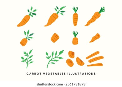 set of orange carrot vegetables flat sticker design style vector. a colorful illustration of fresh carrots, whole and slices collection. element design of fresh, whole and slices carrot vegetables 