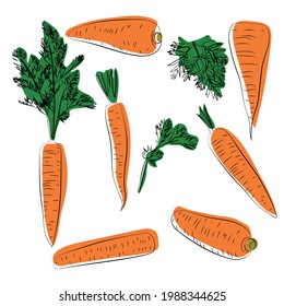 Juego de zanahorias anaranjadas con hojas, gráficos vectoriales