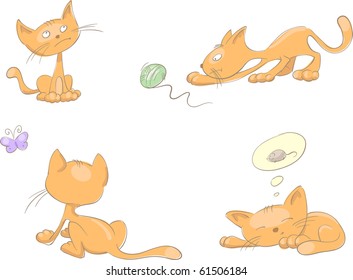 set of orange cats